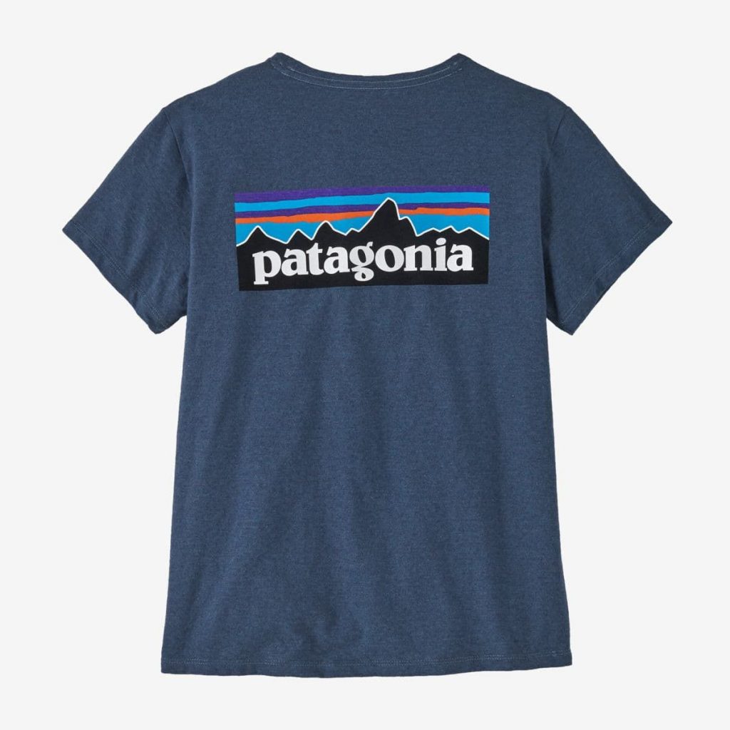 patagonia t shirt